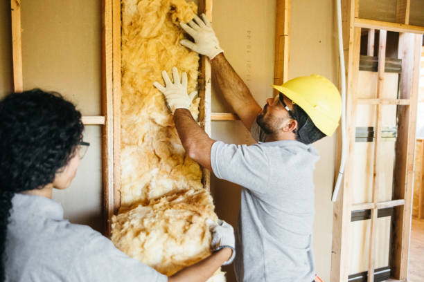 Best Insulation for New Construction  in Homer, AK